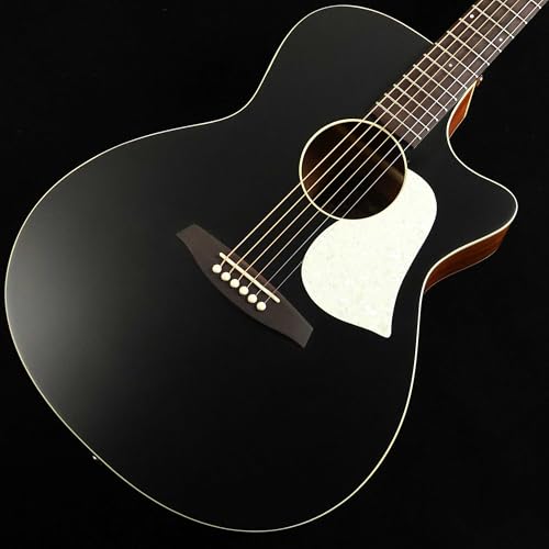 アヌエヌエ aNN-M52 (アコースティックギター) 価格比較 - 価格.com